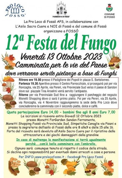 12 festa del fungo